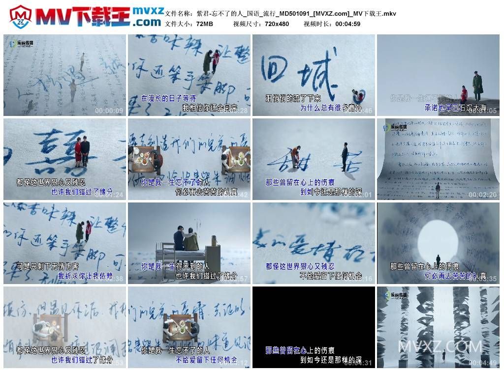 紫君-忘不了的人_国语_流行_MD501091